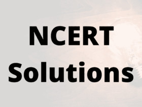 NCERT Solutions