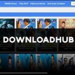 Downloadhub downloader